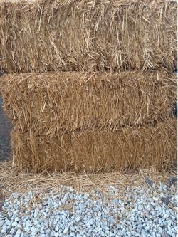 Hay stacks