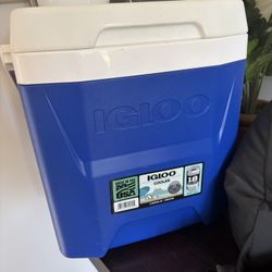Cooler