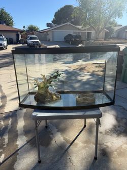 46 Gallon Large Bow Front Glass Aquarium / Fish Tank w/ Decor