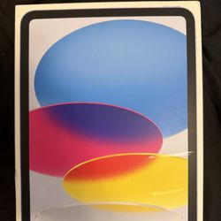 Apple Ipad A16 (wifi)