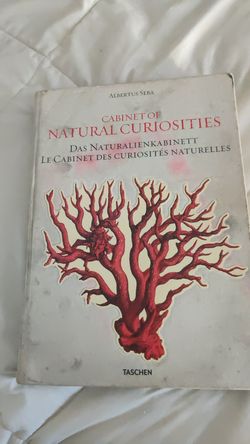 CABINET OF NATURAL CURIOSITY