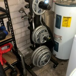 Commercial-Grade Weight Set + Rolling Plate Tree + 2 EZ Curl Bars