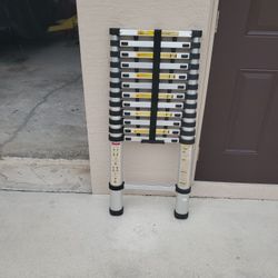 Telescoping Ladder 12 Ft Extendable