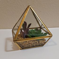 Small Glass Geometric Terrarium ~ Succulent 5.5"H