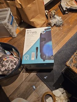 8" True Wireless Speaker