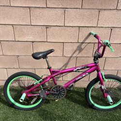 20 Inch Bike Ready To Ride $60