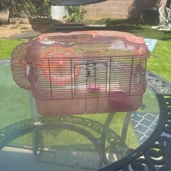 Hamster Cage 