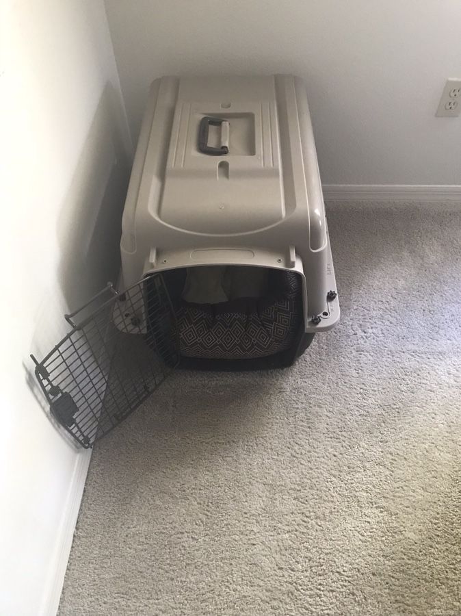 Dog Kennel with removable bed