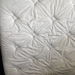 Free used full  mattress