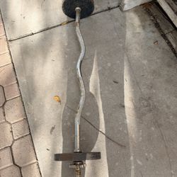 Curl Barbell