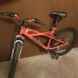 $25 Mountain Bike 
