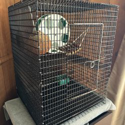 Sugar Glider Cage, Bird Guinea Pig