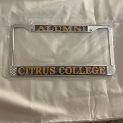 Citrus License Plate Frame