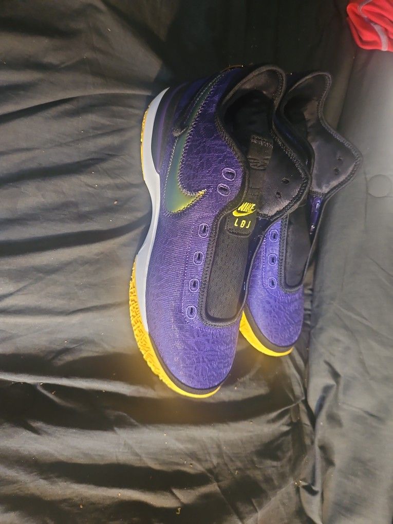 Nike Zoom LeBron NXXT Gen Basketball Shoes