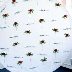 Back drop for pictures