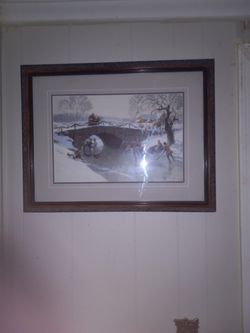 Winter Scenery