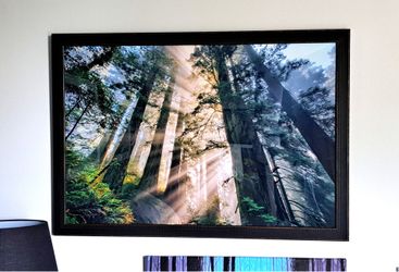 Large Framed Print: Divine Forest Light Coast Redwoods Del Norte California 39 1⁄4” x 27 1⁄4”
