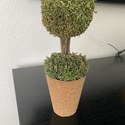 Three Small Bushes for  Decorative