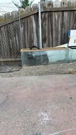 XL Aquatic Tank & Pump