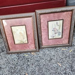 2 Flower Pictures Framed and matted