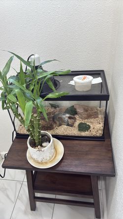 Glass tank