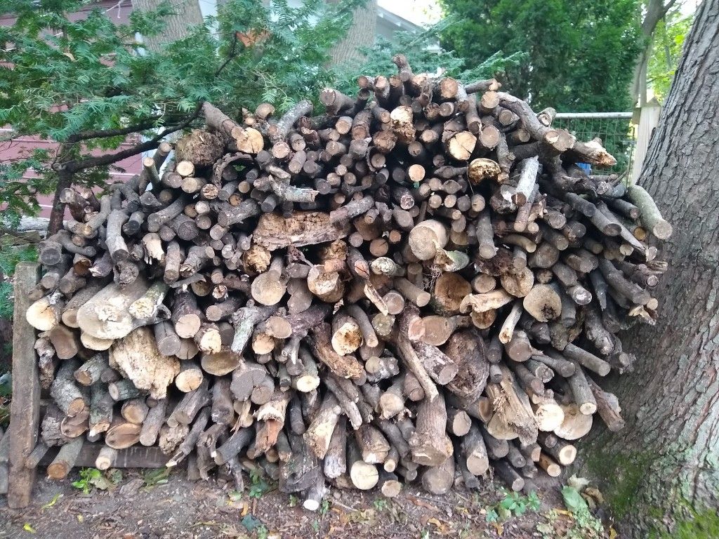 Firewood