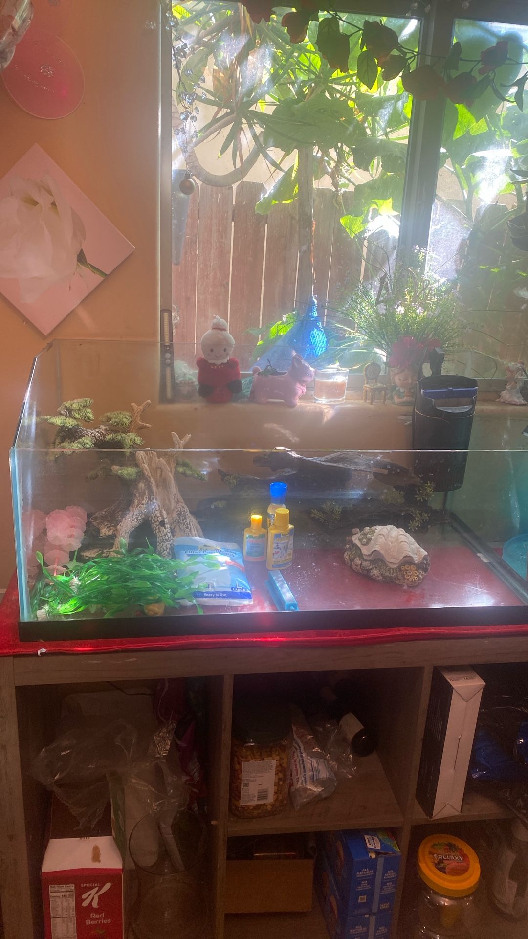 Fish Tank Whit Stand