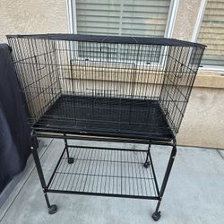 Black Bird Cage 