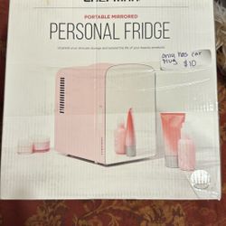Portable Mirrored Personal Fridge