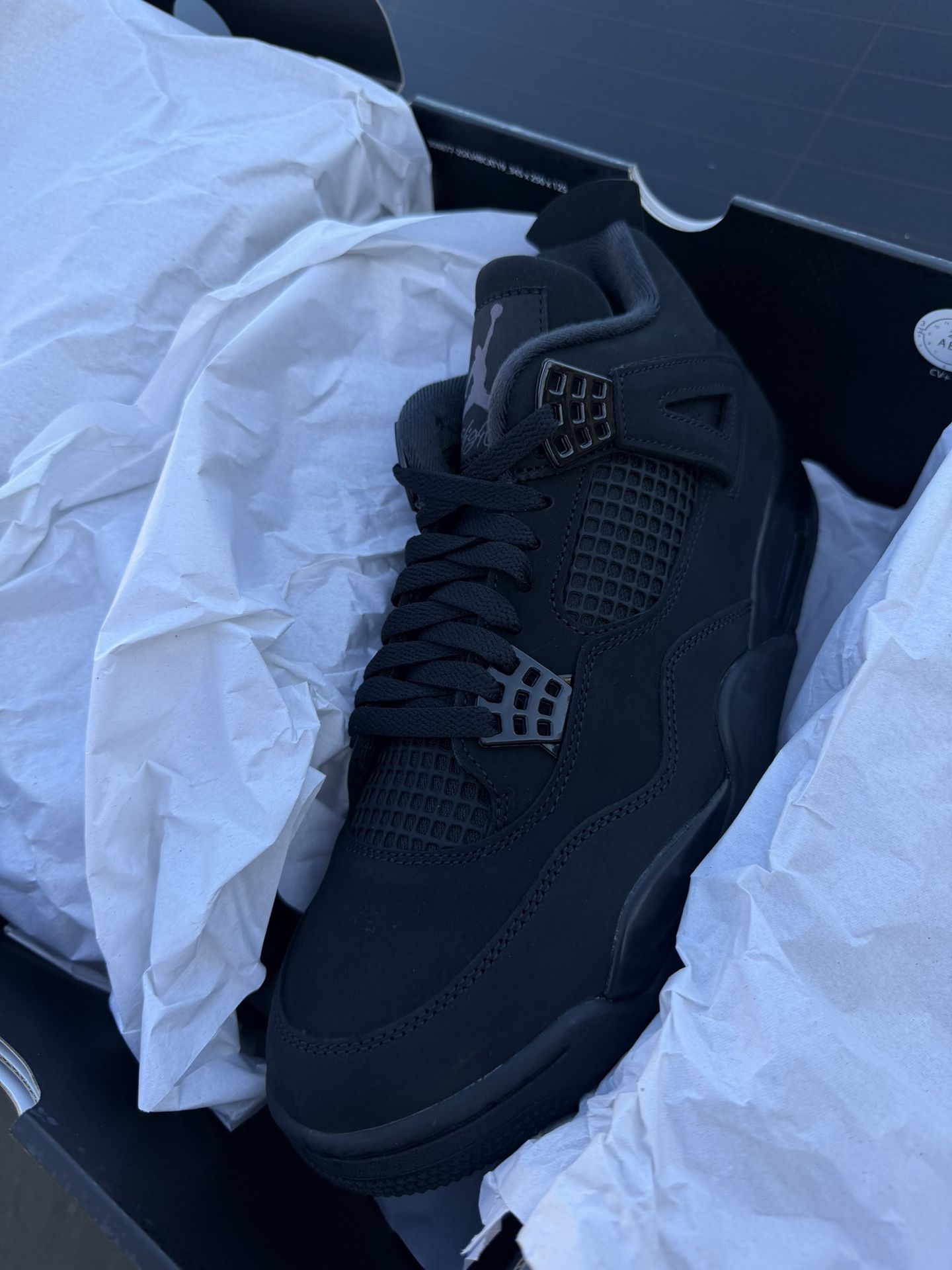 Jordan 4 Black Cat (2025)
