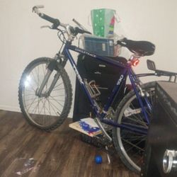 Singletrack Women's Bike 