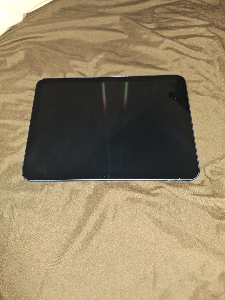 Ipad 10th Generation 256 GB