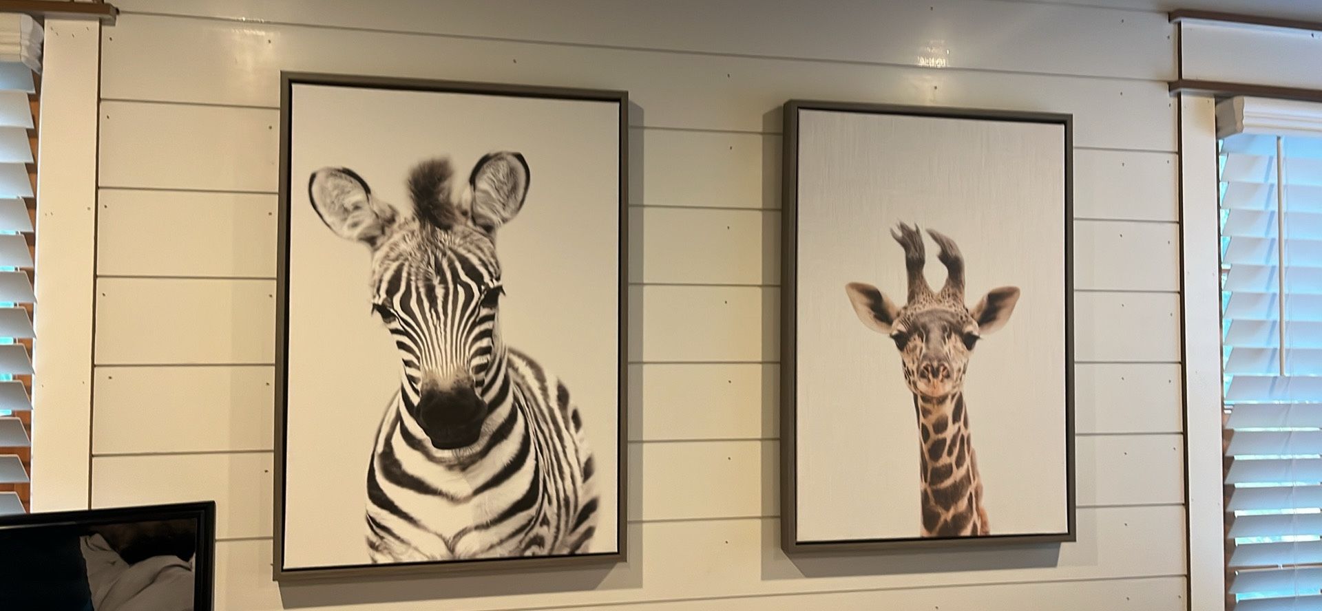 Animal Canvas Wall Art . Two Frames.