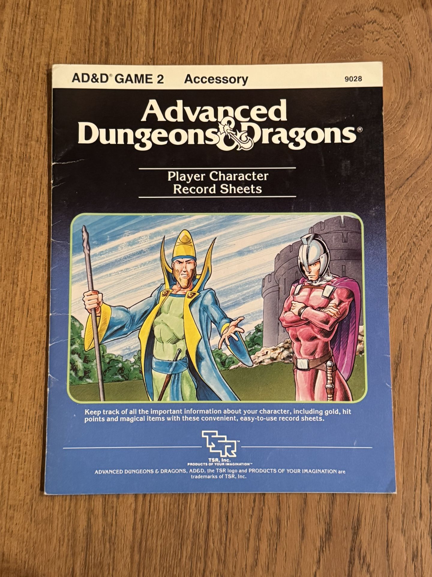 PLAYER CHARACTER RECORD SHEETS Vintage 9028 D&D TSR Dungeons Dragons 5 Sheets