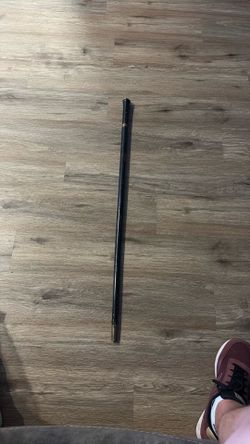 Walking stick