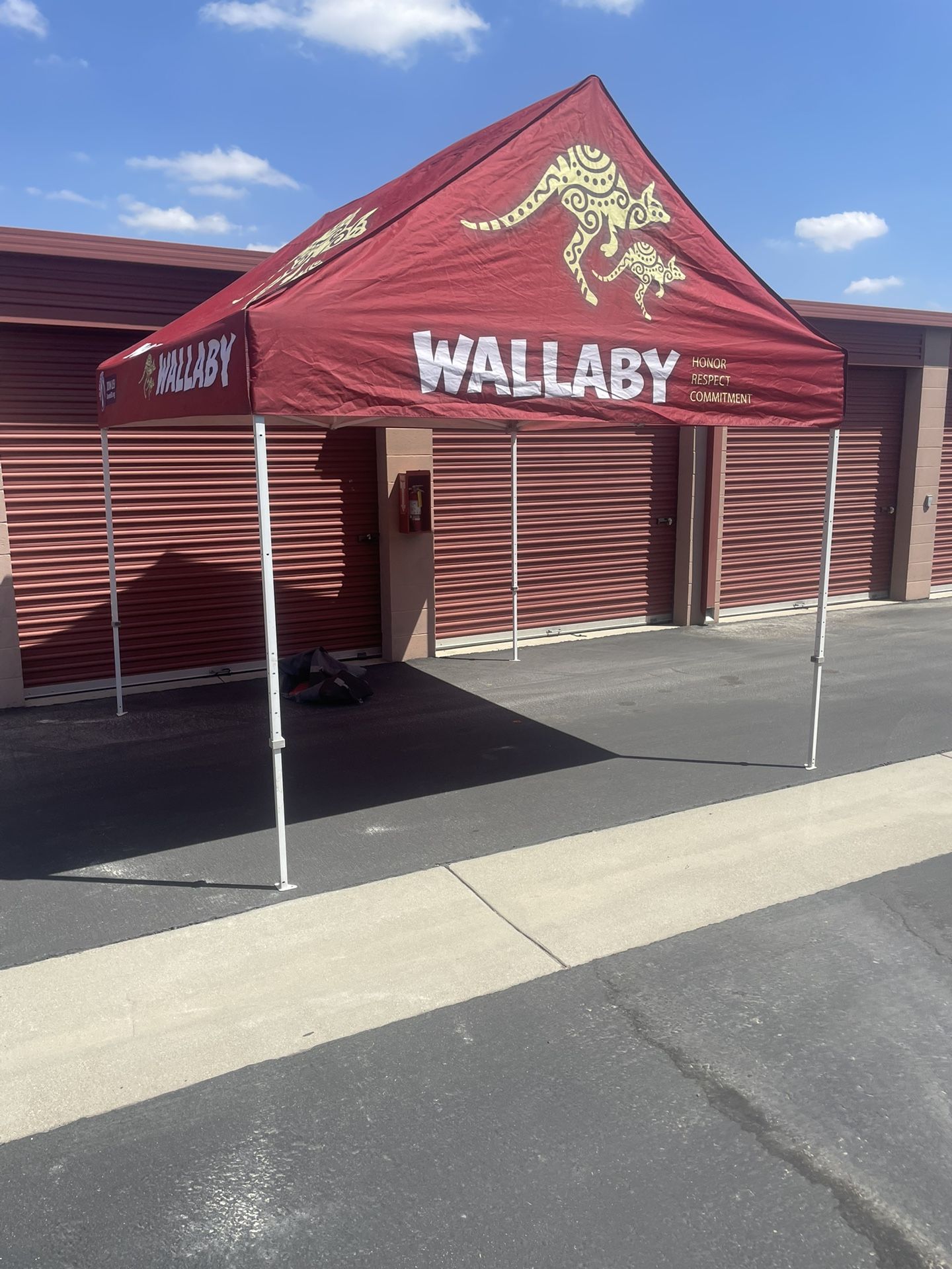 8 By 10 Canopy