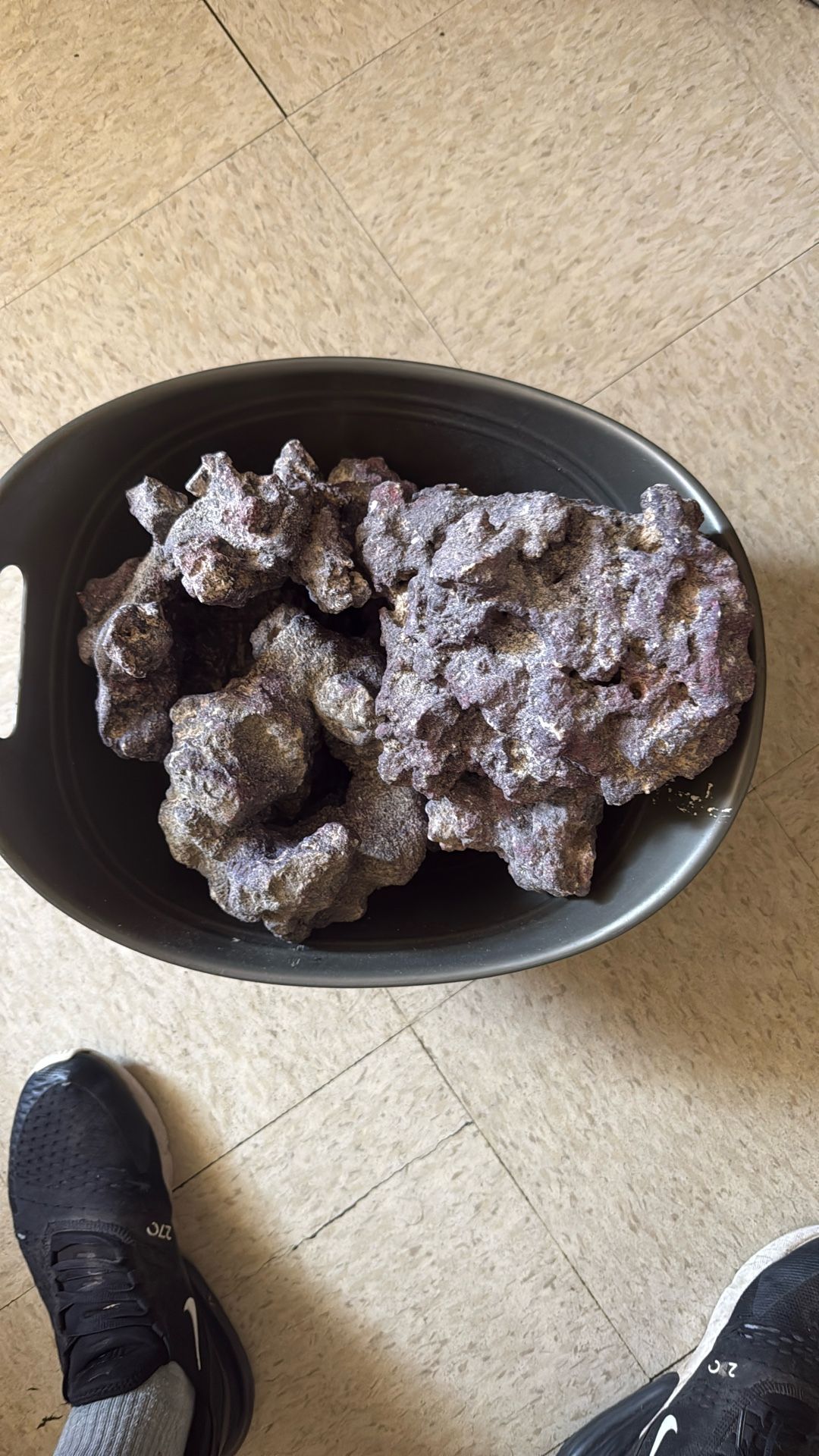 Live Dry Rocks