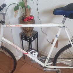 Ross Hi-Tech Mtb 26'