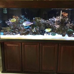 250 Gallon Aquarium Starfire Glass Fish Tank/Aquarium, With Stand 