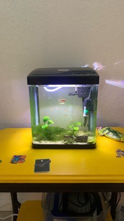 1.5 Gal Nano Tank