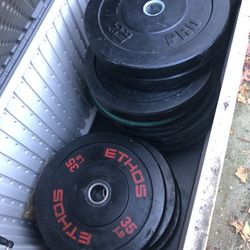 Bumper Plates 