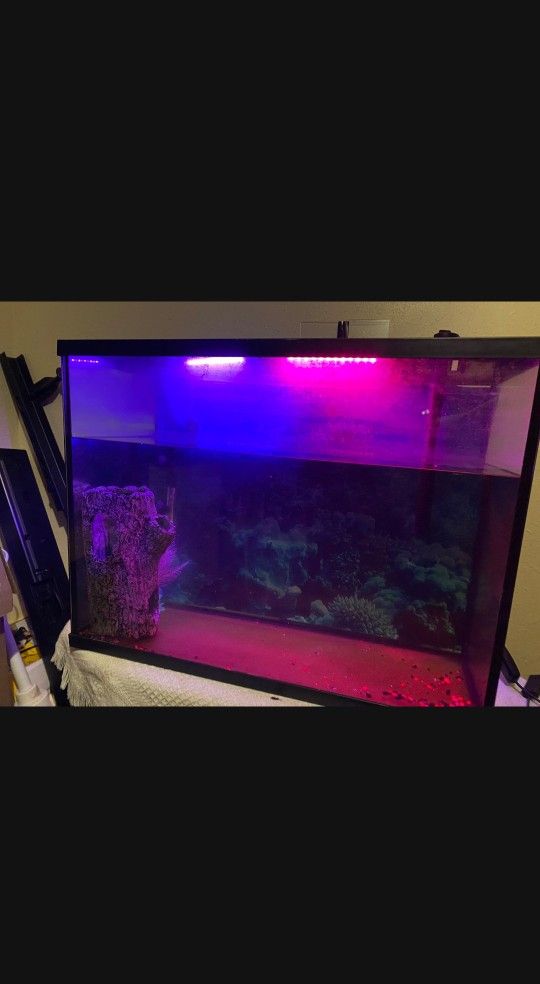 35 Gallon Fish Tank With Led Color Changing Lights 