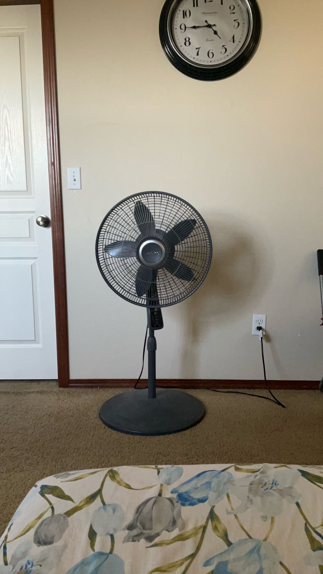 Fan