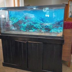55 Gal Aquarium 