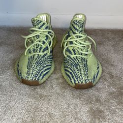 Men’s Adidas Frozen Yello Size 10