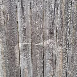 Free Cedar Fence Boards/panels  - Grab Them Free!