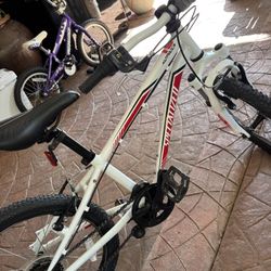 SPECIALIZED HOTROCK 20” Kids Bike