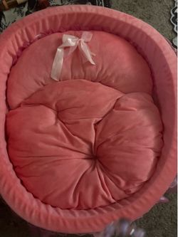 Very cute female, doggy bed