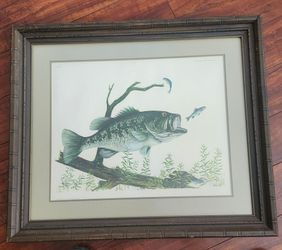Framed Largemouth Bass Fish Art Print