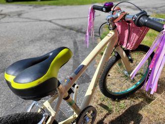 Raleigh Lily 20 Bike